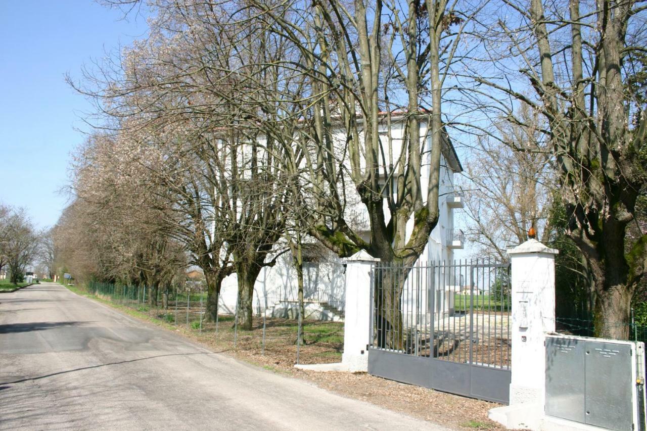 Villa Dei Tigli San Vicenzo di Galliera Екстер'єр фото